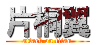 片桐翼 (attack on titan)