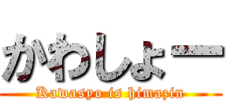 かわしょー (Kawasyo is himazin)