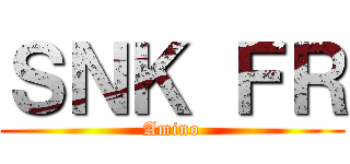 ＳＮＫ ＦＲ (Amino)