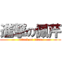 進撃の佩芹 (attack on titan)