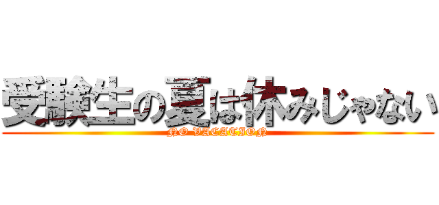 受験生の夏は休みじゃない (NO VACATION)