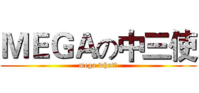 ＭＥＧＡの中三使 (mega what？)