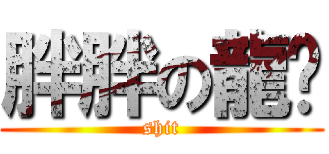 胖胖の龍貓 (shit)