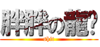 胖胖の龍貓 (shit)