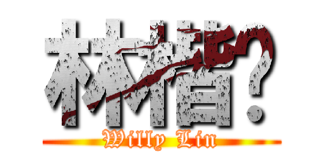 林楷崴 (Willy Lin)