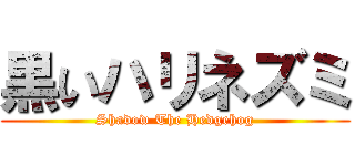 黒いハリネズミ (Shadow The Hedgehog)