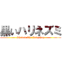 黒いハリネズミ (Shadow The Hedgehog)