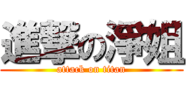 進撃の淨姐 (attack on titan)