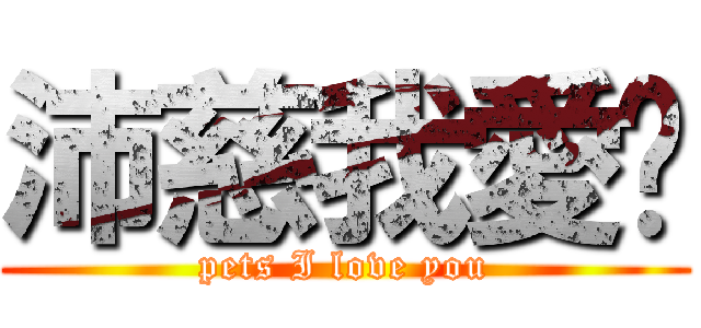 沛慈我愛你 (pets I love you)