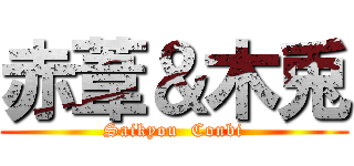 赤葦＆木兎 (Saikyou  Conbi)