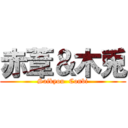 赤葦＆木兎 (Saikyou  Conbi)