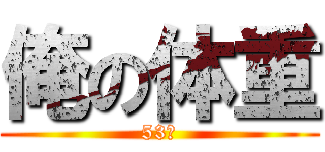 俺の体重 (53㎏)