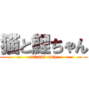 猫と鯉ちゃん (cat and carp)