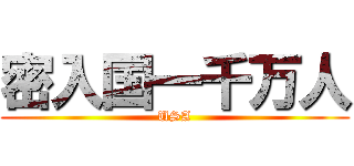 密入国一千万人 (USA)