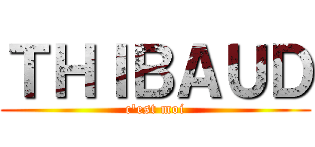 ＴＨＩＢＡＵＤ (c\'est moi)