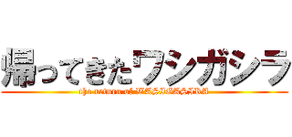 帰ってきたワシガシラ (the return of WASIGASIRA)