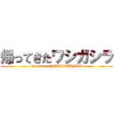 帰ってきたワシガシラ (the return of WASIGASIRA)