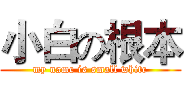 小白の根本 (my name is small white)