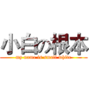 小白の根本 (my name is small white)