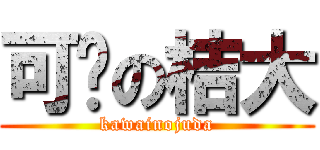 可爱の桔大 (kawainojuda)