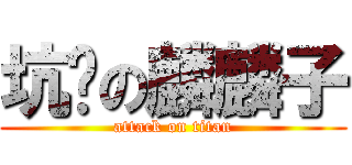 坑爹の麟麟子 (attack on titan)