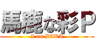 馬鹿な彩Ｐ (I am BAKA)