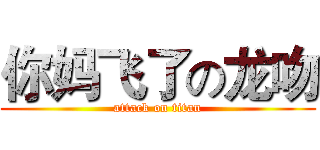 你妈飞了の龙吻 (attack on titan)