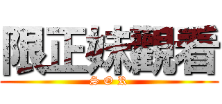限正妹觀看 (S O R)