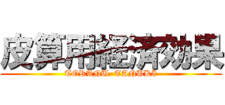 皮算用経済効果 (TORANU  TANUKI)