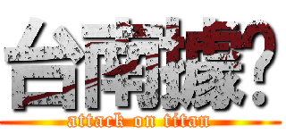台南據奌 (attack on titan)