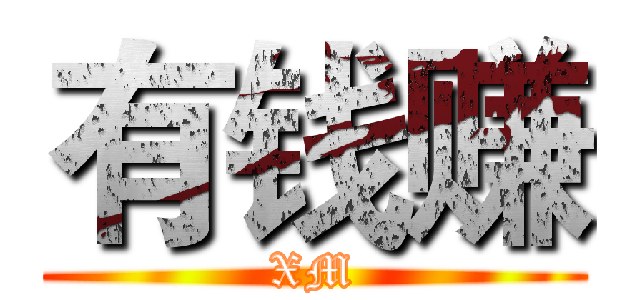 有钱赚 (XM)