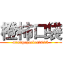 橙柿口袋 (orangepocket2025)