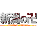 新潟の卍 (manji no niigata)