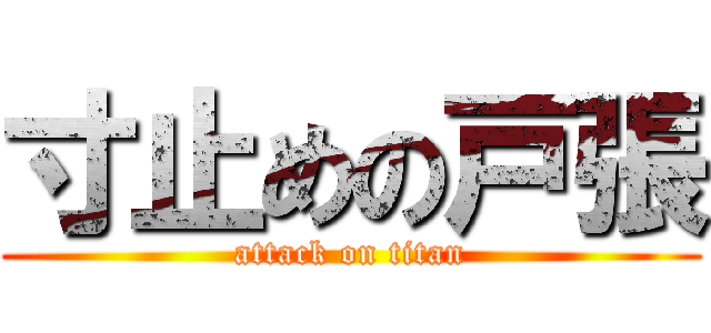 寸止めの戸張 (attack on titan)