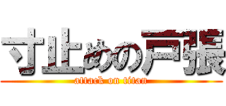 寸止めの戸張 (attack on titan)