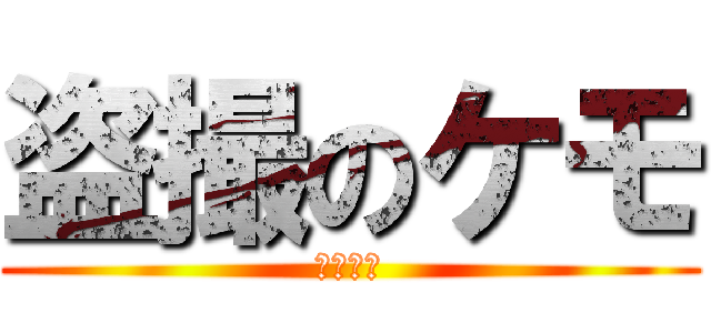 盗撮のケモ (英語なし)