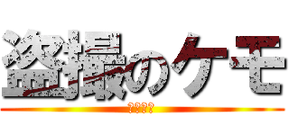 盗撮のケモ (英語なし)