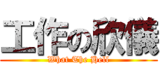 工作の欣儀 (What The Hell)