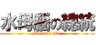 水母腦の總統 (Bumbler Ma)