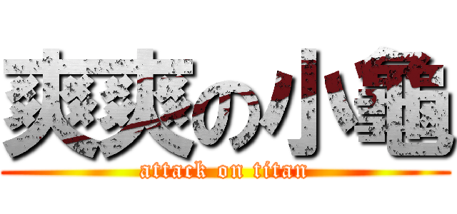 爽爽の小龜 (attack on titan)