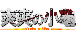 爽爽の小龜 (attack on titan)