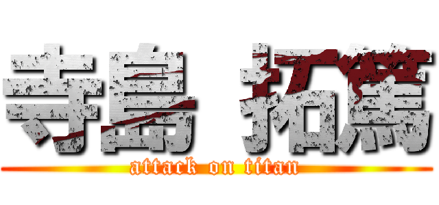 寺島 拓篤 (attack on titan)