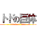 トドの巨体 (attack on titan)