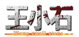王小石 (Wang small stone)