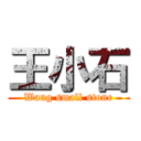 王小石 (Wang small stone)