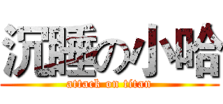 沉睡の小哈 (attack on titan)