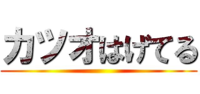 カツオはげてる ()