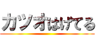 カツオはげてる ()