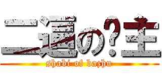 二逼の吧主 (shabi of bazhu)