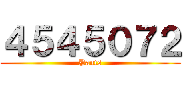 ４５４５０７２ (Pants)